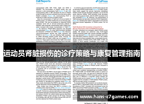运动员肾脏损伤的诊疗策略与康复管理指南
