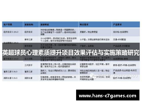 英超球员心理素质提升项目效果评估与实施策略研究