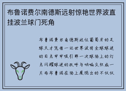 布鲁诺费尔南德斯远射惊艳世界波直挂波兰球门死角